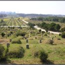 공설묘지 1 이미지