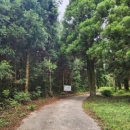 돈내코 평궤 화장실 이미지