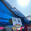위드독스 | 포천 애견동반캠핑 위드독스 2일차 포천오일장 등갈비 택배가능 하나로마트