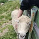 (주)더메이트 이미지