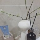 경주 숙소 라연재 후기
