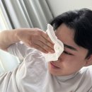 도라방스 이미지