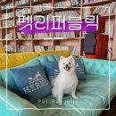 아트펫 | 양평 펫리퍼블릭 애견카페 레스토랑 후기