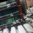 풍천손가네민물장어 이미지