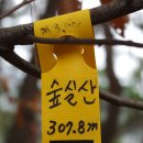 산수유꽃길로 이미지