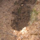 승순농장 이미지