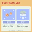 진리동물병원