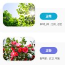조도중학교 | (일반고) 조도고등학교 2025 신입생 입학안내, 학교안내​​