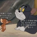 자자 이미지