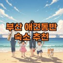 영무파라드 펜션 | 부산 반려견 동반 숙소 여행, 완벽 가이드!