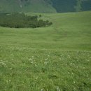 푸른전자 이미지