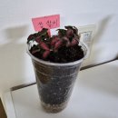 연은태권도 | 2025 호박골 행복나눔 축제 후_서대문구 마을 축제