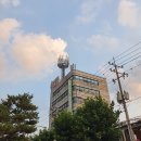대전 옥계동 한의원ღ 느티나무 한의원 / 진료후기
