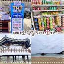 하나로약국 | 카톡 하나로 여행 끝! 티엔티 부산과 함께하는 대마도 여행 - 노바호 탑승 및 버스 투어 후기🚢🚍