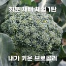 동탄화분팜 이미지