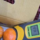 광산구-038 이미지