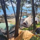 이신영의원 이미지