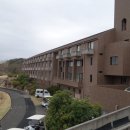 보보스(BOBOS) 이미지