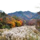 제723회 내장산 산행안내 이미지