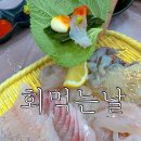 회먹는날 - 진주시 | 회먹는날