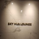 스카이 P.P 이미지