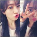 FNC 엔터테인먼트 카카오 검색결과