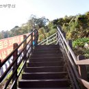 새천년주유소 이미지