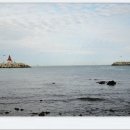 정자항 공원 이미지