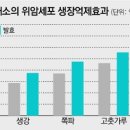 비타민김치 티스토리
