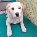 아산만로 이미지