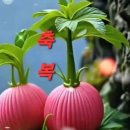 [정보] 약 없이 혈당 낮추는 3가지 비밀 이미지