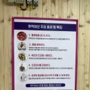원적외선체온관리점핑다이어트
