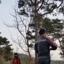 대운식당 네이버블로그