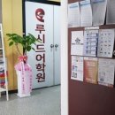 학성루시드어학원 네이버블로그