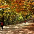 가을