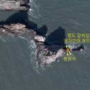 상사리(상) 이미지