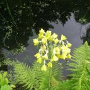 모스가든 이미지