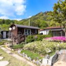 문장대힐링하우스민박 이미지