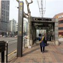 살롱드카 이미지