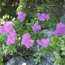 장구넘어 이미지