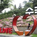 섬마을민박 이미지