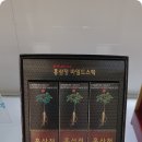 참다한홍삼김포 | 건강을 챙길수 있는 김포홍삼 참다한홍삼 더작 김포장기점 추천!