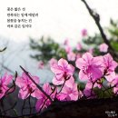 자세히 보아야 예쁘다 이미지