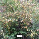 보령시미산면옥현2리마을회관 | 서천 장태봉