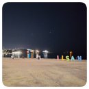 일산게임랜드 | 일산 해수욕장 근처, 캐치미 오락실