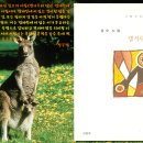 김*오 이미지