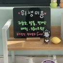 안나애견 이미지