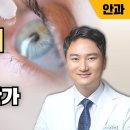 첫눈애 이미지