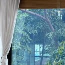 아이보리스튜디오 이미지
