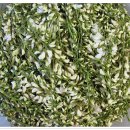 아카시아병원 이미지